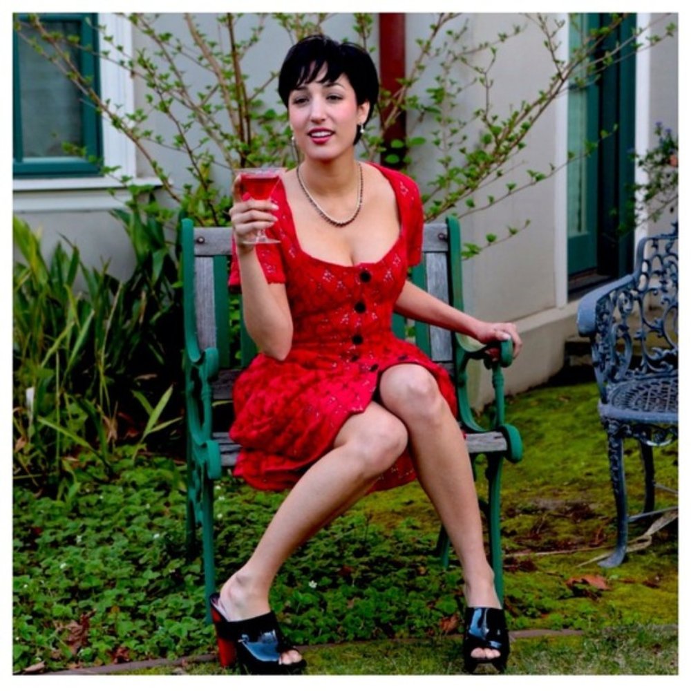 Bolongara Trevor Red Lace Bustle Dress -All Saints - Picture 4 of 4